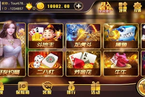 S196经高人完美修复过的某娱乐游戏的完整组件/带双端