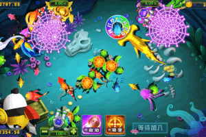 S692【龙睿火萤】二开(木其片卑)清晰完整全套