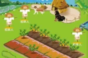 P006-仿皮皮果系统模式芒果乐园复利源码