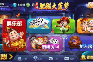 P015-肥猫大菠萝十三水完整全套 安卓+IOS+全套数据房卡合集版本真正的运营级产品