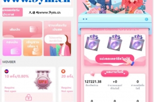 Q103-海外项目/可爱粉色UI/9国语言海外多语言刷单PHP源码