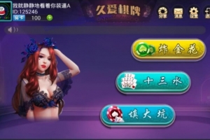 P196-鑫众娱乐游戏房卡版/包括10合一组合大厅带全套程序组件