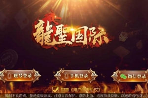 P218-龙聖国际运营服务器打包下载+完整版本+双端app