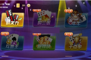 P220-颂游旗舰,宝马,黑金通用过授权bin文件