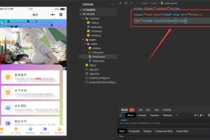 Q521–网站转小程序，任意网址打包成小程序源码
