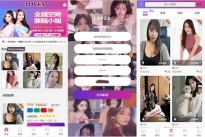 Q533【亲测源码】多语言空降选妃任务刷单源码/叠加组打针刷单源码/前端html+后端PHP