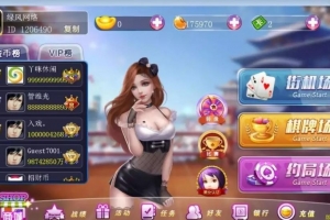 P556【傲玩至尊】中富棋牌全套组件+授权注册机+搭建教程